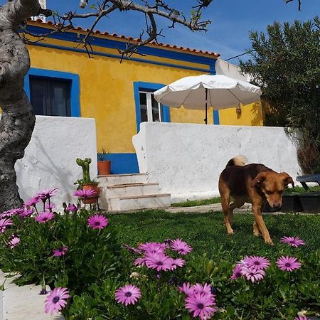 Monte Da Ti Luzia Villa Faro Luaran gambar